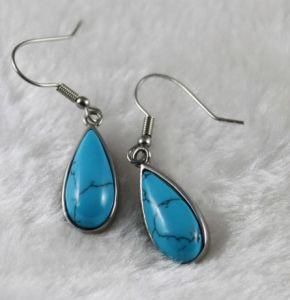 Fashion Jewelry Earring (E3810)