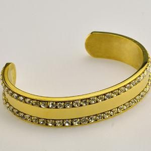Fashion Gold Plating Stainless Steel Bracelet (BC8711)