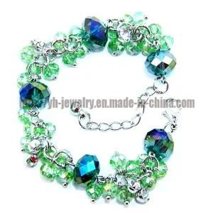Fashion Jewelry Crystal Bangle/ Beaded Bracelets (CTMR121108006-1)