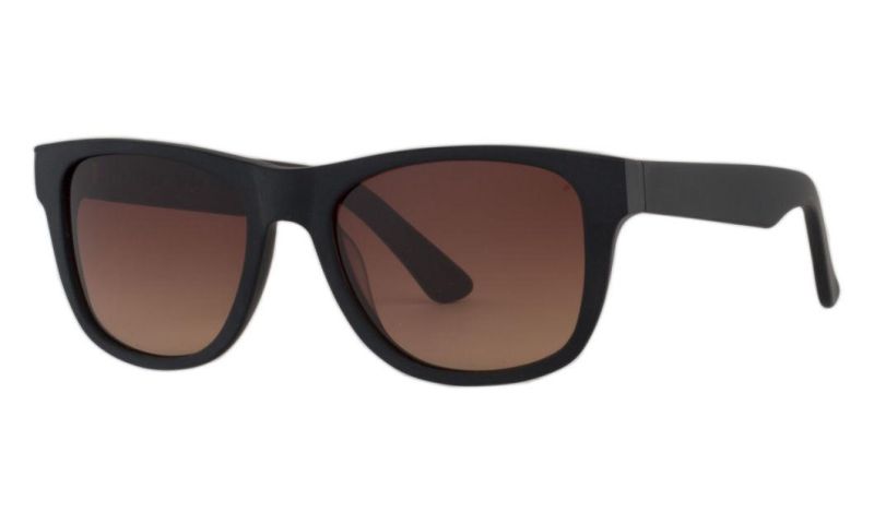 Fashion Comfortable Hot Sell Sunglasses