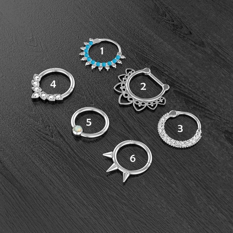 316L Surgical Steel 1.2*8/10mm Hinged Segment Ring Body Piercing (6 Designs)