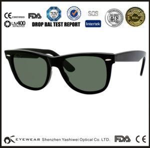 International CE Standard Sunglasses