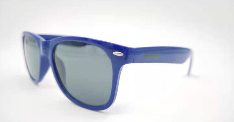2021 Fashion Raybanable Custom Classic Men High Quality PC Colorful Lens Shade Sunglasses Promotion Retro Sport Sunglasses
