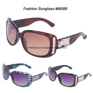 Plastic Women Sunglasses (CE, FDA certified) (M8088)