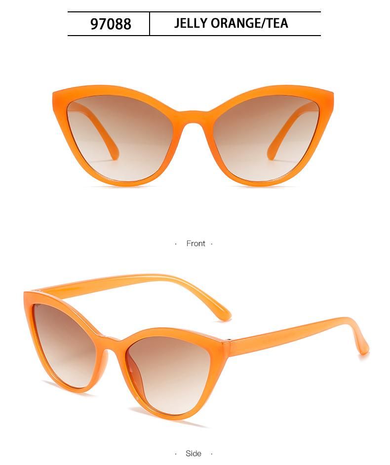 Sunglasses Fashion Cat-Eye Sunglasses