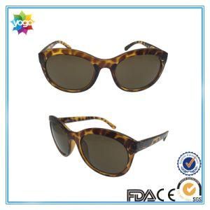 Newest Sports Series Fashion Sunglasses for Women