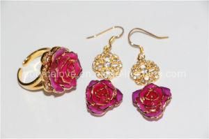 2013 Newest Styles-Golden Earrings and Rings (EH095)