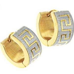 Fashion Stainless Steel Golden Earrings Jewelry Jewellwery Hy01