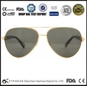 Hot Wholesale Sun Eyeglass International Brand Women &amp; Mens Sunglasses