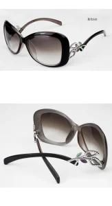 Lady Sunglasses (DS107-43)