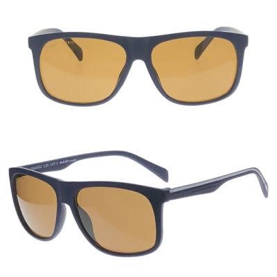 Basis Sunglasses for Men
