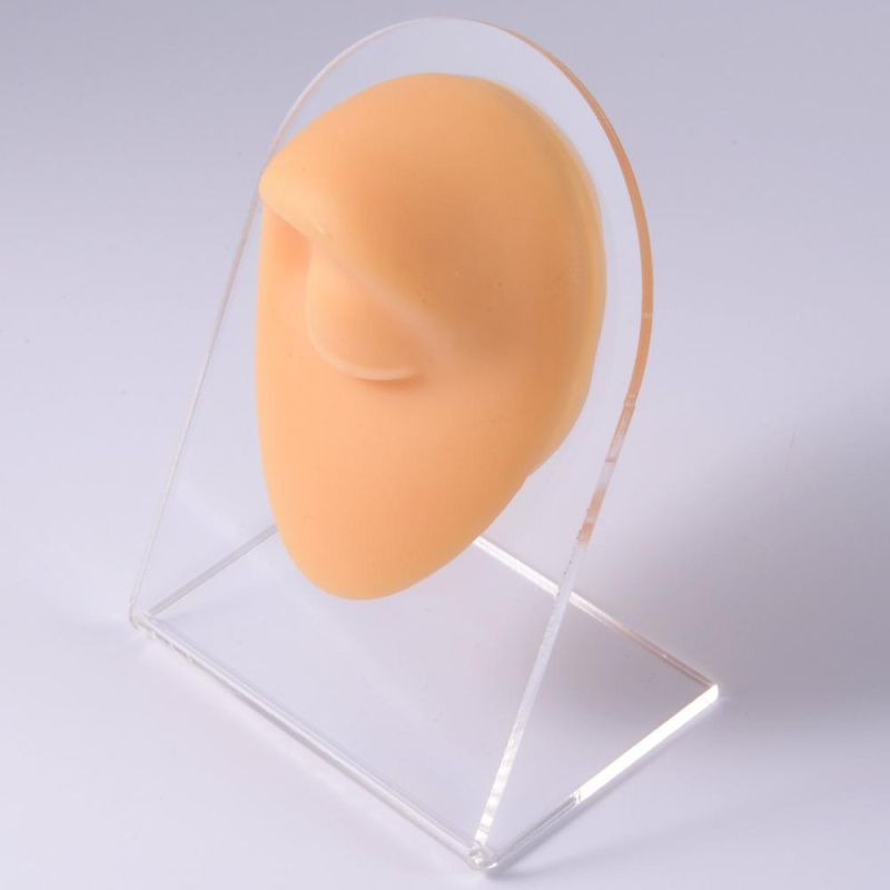 Skin Color Soft Display Model with Stents Faux Real Artificial Piercing Model Display Tool Piercing Jewelry