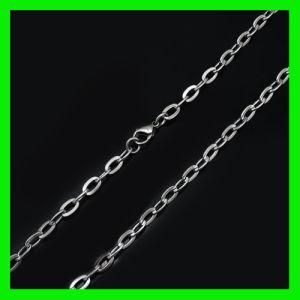 2012 Stainless Steel Jewelry Chain (TPBCN032)