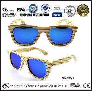 Ray Band Sunglasses