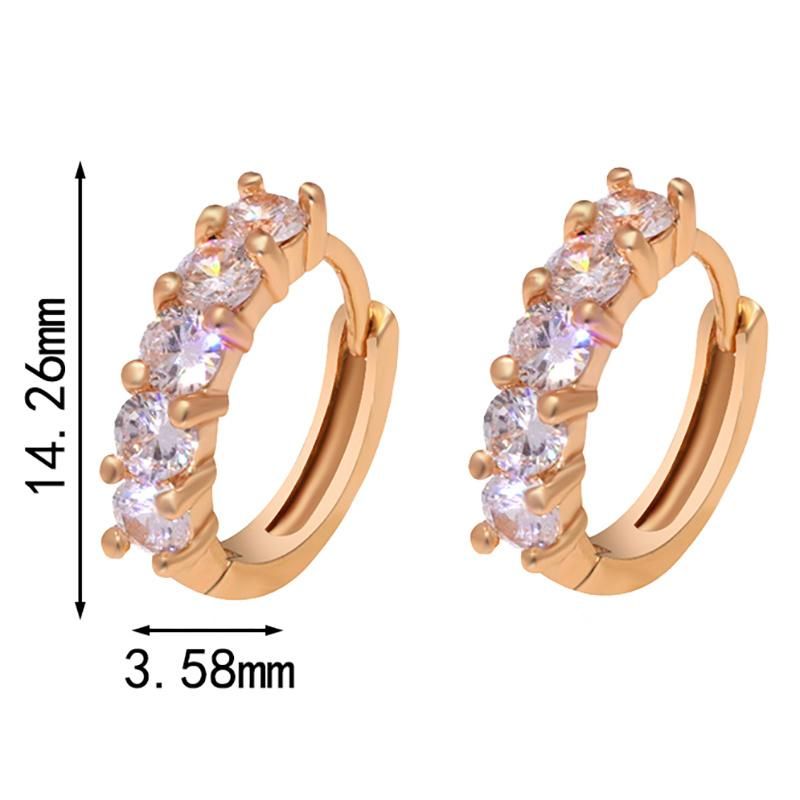 18K Gold Small Circle Zirconia Hoop Fashion Earrings