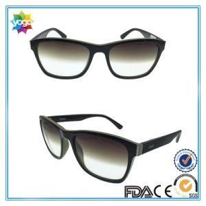 New Brand Plastic Frame Sports Fashion Sunglasses