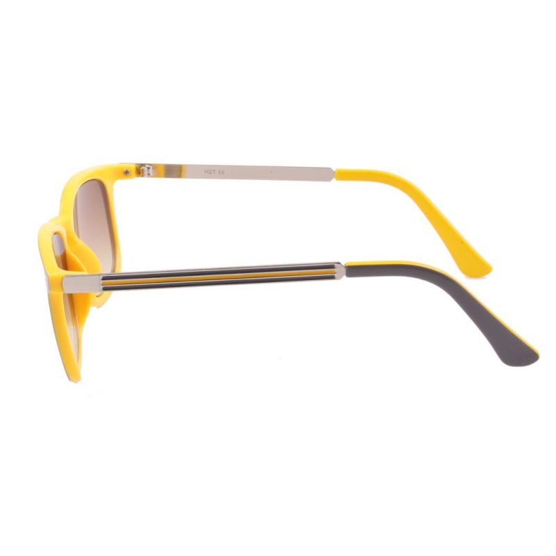 2019 Factory Directly Color Spray Sunglasses with Metal Temple