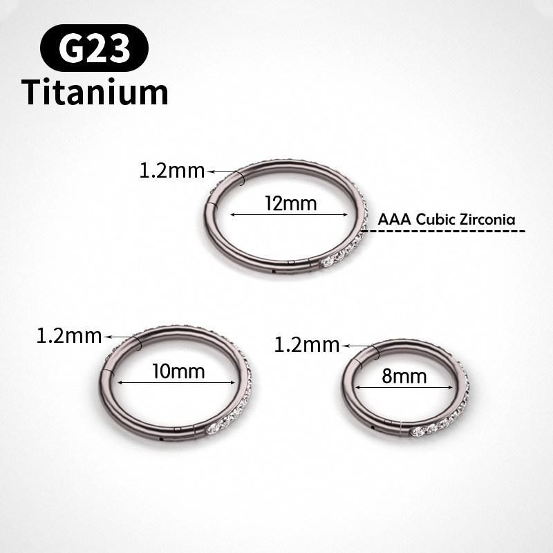 G23 Titanium Earring Hoop Hinged Septum Rings and Nose Rings Hoops Inlaid CZ for Women Men