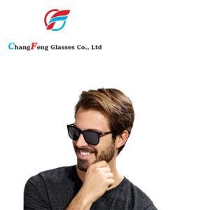 OEM/ODM Tr90 Classic Vintage Mens Eyewear Sunglasses