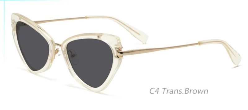 Acetate Sunglasses 14