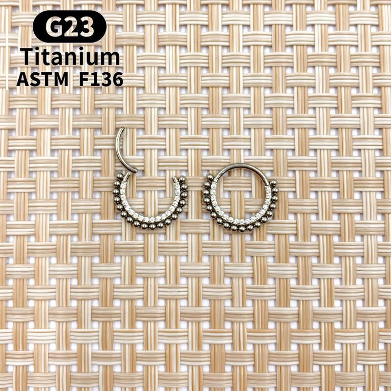 New Design Titanium Daith Earring Hoop Solid G23 Cartilage Tragus Helix Rings 16g Titanium Septum Piercing Jewelry Hinged Segment Hoop CZ Paved