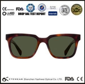 2015 Best Polarized Fashion Sunglasses