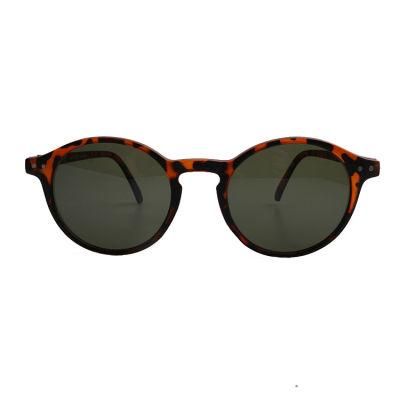 2019 Round Shape Designer Directly Fashion Sunglasses