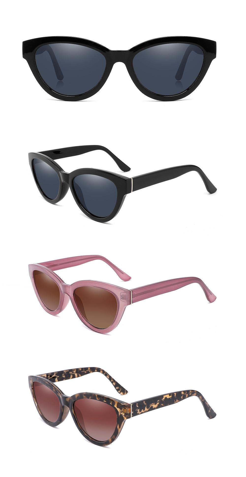New Arrival Sunglasses Vintage Big Frame Cat Eye Fashion Sun Glasses
