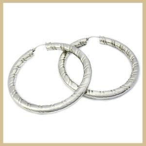 Stainless Steel Jewelry Hoop Earring (TPSE153)