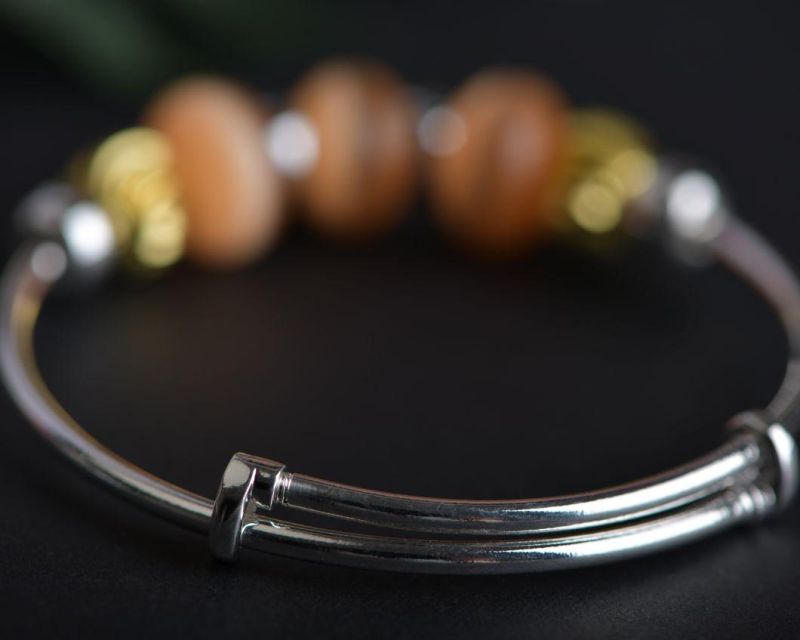 Charm Bracelet with Crystal Pendant