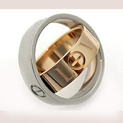 Stainless Steel Spin Ring (RC6533)