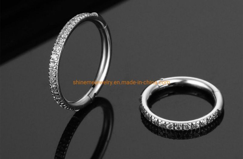 Fashion Jewelry 316L Stainless Steel Piercing Zircon Nose Ring Closed Ring Seamless Connection Nose Ring Earrings Segment Ring Sspr076