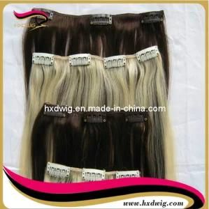 Clips on Hair Extension (HXD-094)