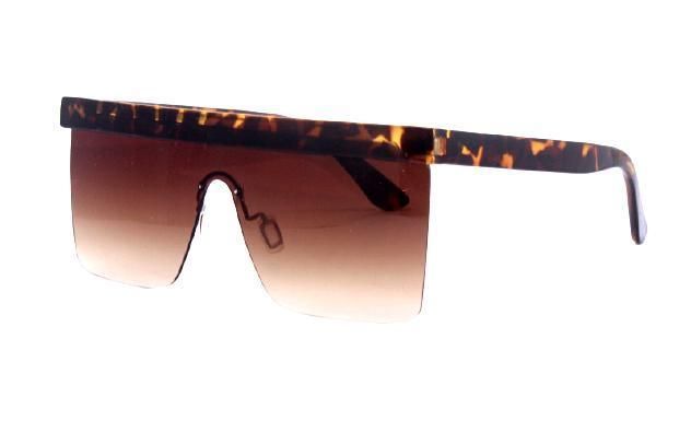 Translucent Multicolor Tobacco Color Inverted Triangle Frame Sunglasses