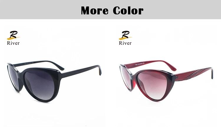 Fashion Tr Wide Frames Stock Polarized Men Sunglasses