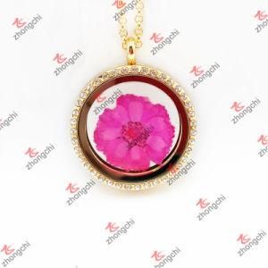 Fashion High Quality Gold Round Crystal Lockets Charms Pendant Jewelry (GRL35)