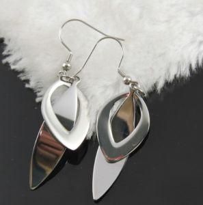 S. Steel Earrings, S. Steel Jewelry, Fashion Jewelry (E2347)