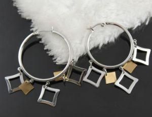 Fashion Stainless Steel Jewelry, S. Steel Earrings (E2348)