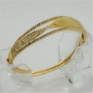 2014 Newest Jewellery Fashion Jewelry Bangles (BB04989B1S0032)