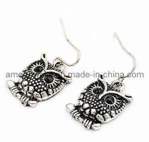 Jewelry/Fashion Jewelry/Earring (EN0708011)