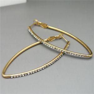 Fashion Jewelry Earring Drops Jewelry Hoop Earrings (E130025)