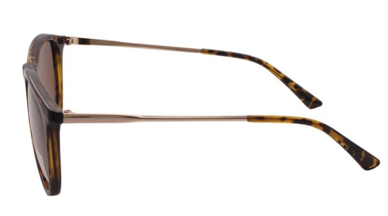2022 Wholesale Vintage UV400 CE Tr90 Plastic Sunglasses for Women