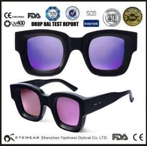 New Stylish Unisex Sunglasses Shenzhen Direct Manufacturer