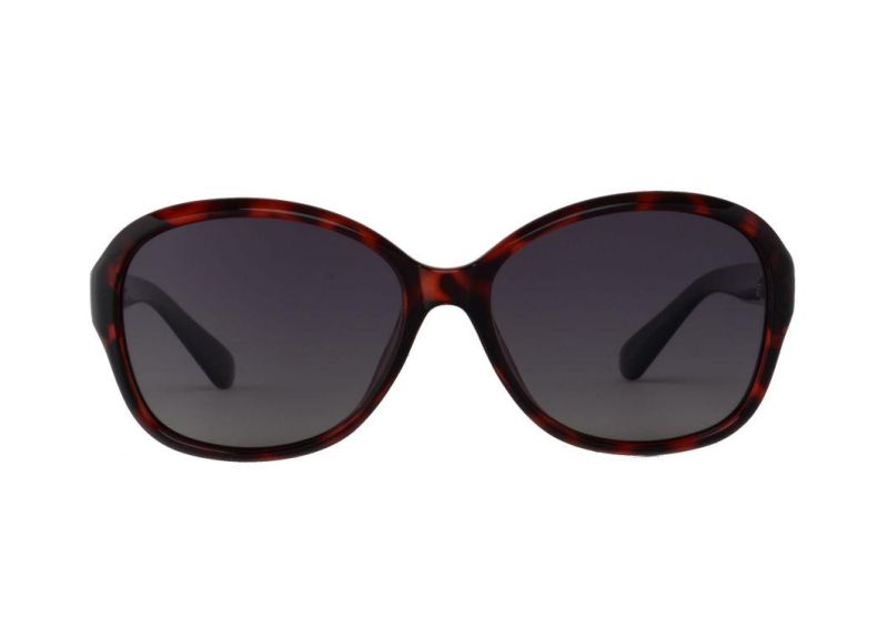 New Plastic Frame Fashion Sports Sunglasses