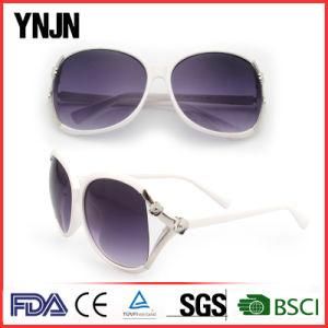 Ynjn Custom Logo UV400 Ladies Sunglasses