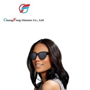 Fashion Polarized Men Sunglasses Nylon Sunglass Frames