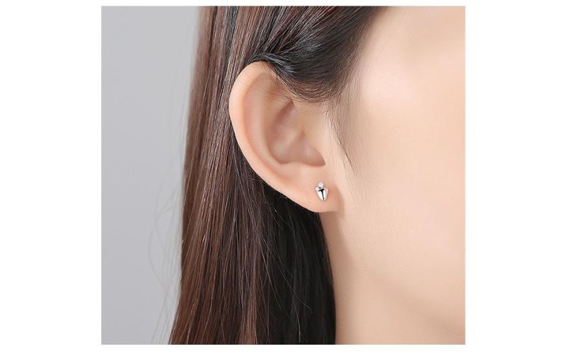 Jewelry Design 925 Silver Earrings Women Statement Earings Stud