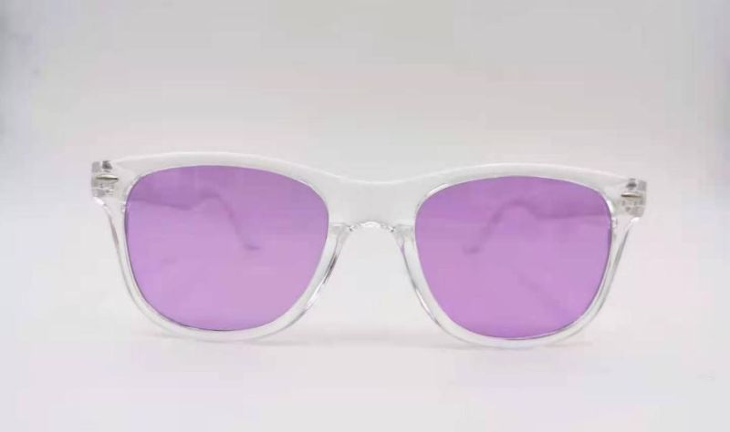 2021 Fashion Raybanable Custom Classic Men High Quality PC Colorful Lens Shade Sunglasses Promotion Retro Sport Sunglasses