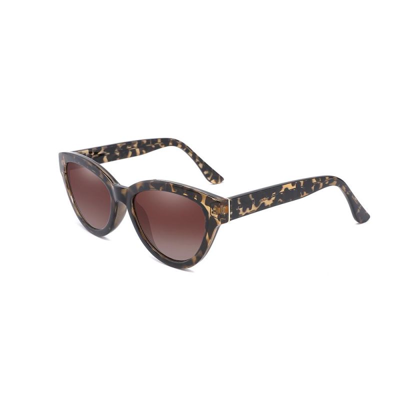 New Arrival Sunglasses Vintage Big Frame Cat Eye Fashion Sun Glasses