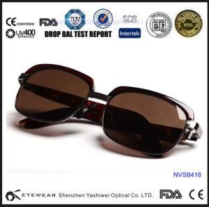 China Fashion Sunglass, Brand Sunglass, Sunglass